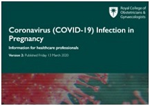 COVID-19_pregnancy